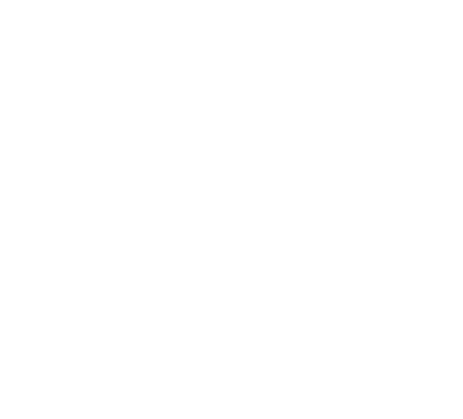 LS Cleaning logo